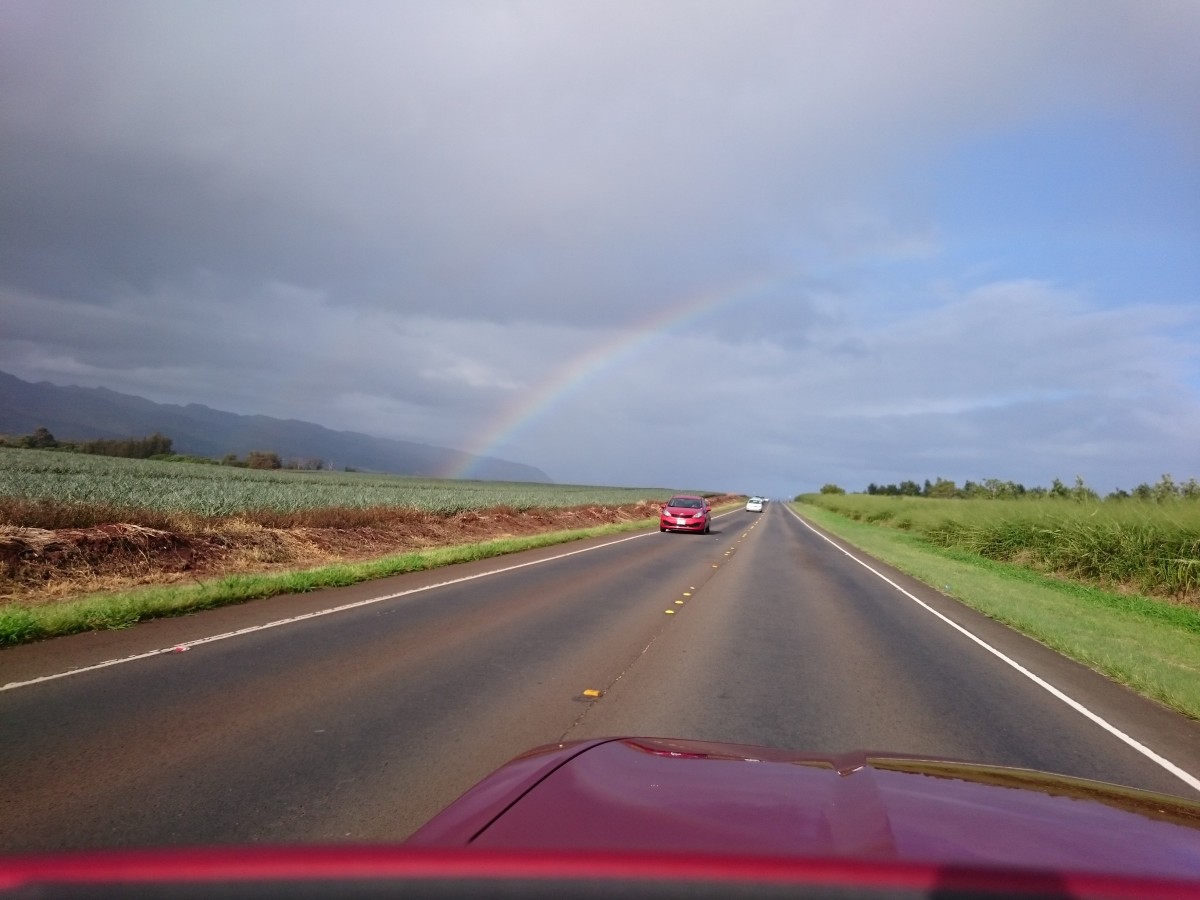 ハーツレンタカー チェックイン ハワイの 交通 情報 Allhawaiiオールハワイ