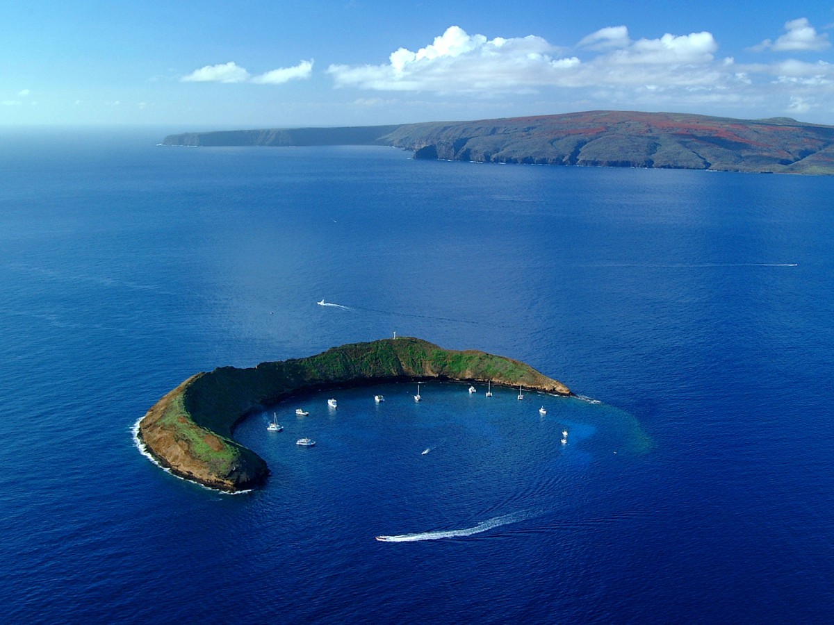バーチャルハワイ 自宅でもできる ハワイで海中探索 Allhawaiiオールハワイ