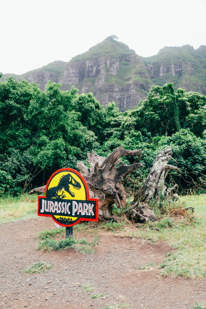 映画でハワイ ジュラシック パークの世界へ迷い込もう おうちでハワイ のコラム Allhawaiiオールハワイ