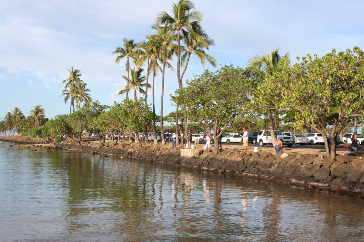 ハワイで防波堤釣りを楽しもう Allhawaiiオールハワイ