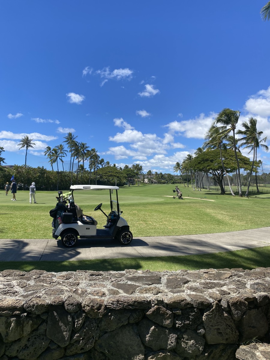 ソニーオープン イン ハワイ 2024 現地レポート（Sony Open In Hawaii 2024）｜allhawaiiオールハワイ