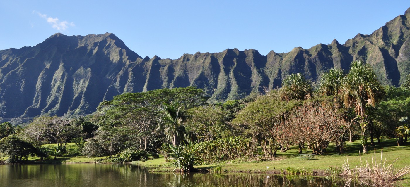 ホオマルヒア植物園 ハワイの 遊ぶ 体験する Allhawaiiオールハワイ