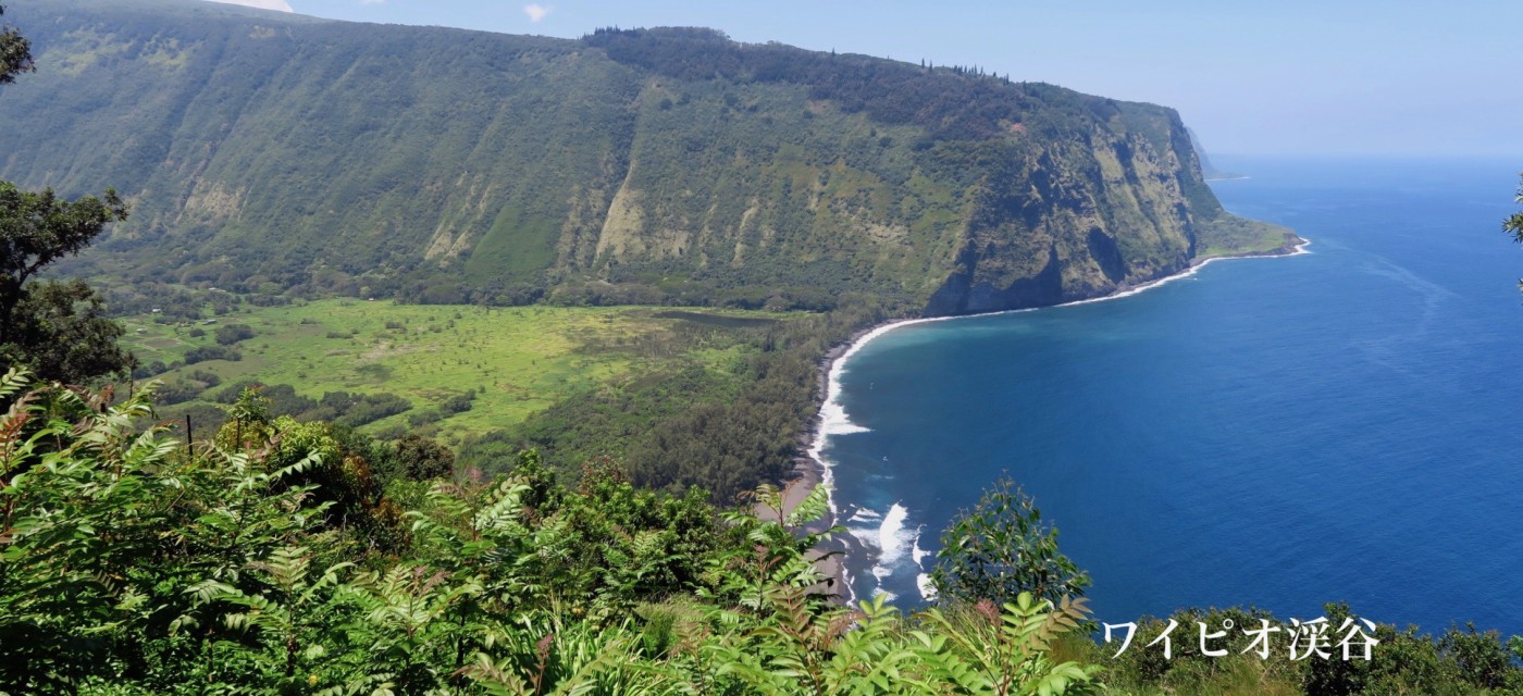 太公望ハワイ：ハワイの「遊ぶ・体験する」｜allhawaiiオールハワイ