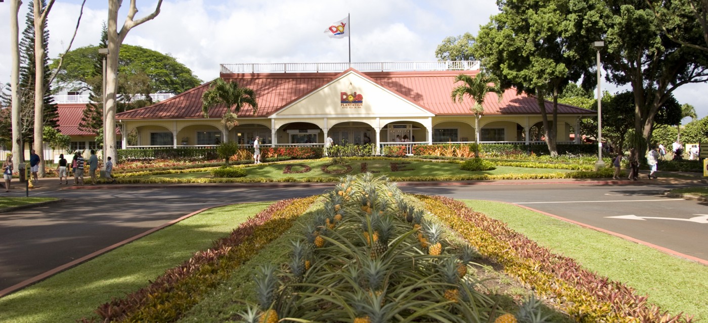 24時間限定クーポンで Dole Plantation ドールプランテーション