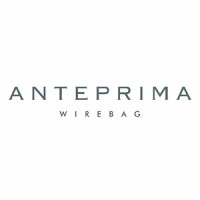 ANTEPRIMA / WIREBAG