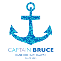 CAPTAIN BRUCE // Kaneohe Sandbar Tours & Private Cruises 