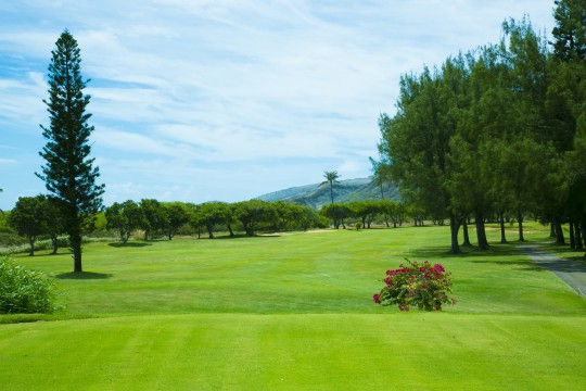 ハワイのゴルフコース-おすすめゴルフ場や料金など│allhawaii オール 