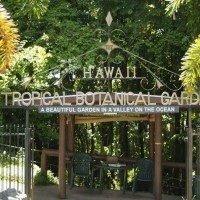 ハワイ トロピカル バイオリザーブ＆ガーデン