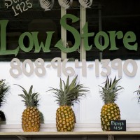 Low Store Deli & Fruit Stand