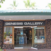 Genesis Galleries