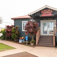 Kauai Coffee Estate