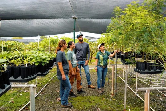 クアロア・ランチの最新エコツアー「コア植樹体験」の紹介