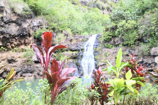 ワイメアの滝でマラマハワイを体験！