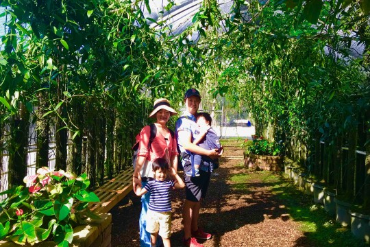ハワイ島の新しい観光地・バニラ農園