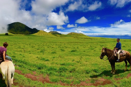 ハワイ島の大自然を感じる乗馬コース！