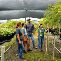 クアロア・ランチの最新エコツアー「コア植樹体験」の紹介