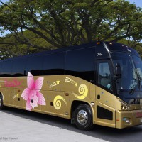 ロイヤルスターバスで行く、オアフ島デラックスツアー２０２２年４月より毎日運行！