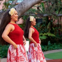 3月も本場ハワイの音楽とフラを存分に楽しめるイベントが盛りだくさん！