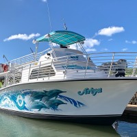 ドルフィン＆ユー野生のイルカと泳ぐツアーのボートが新しくなりました！カスタムメイドの最新型を導入！