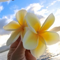 ハワイ旅行で覚えておきたいハワイ語ベスト5