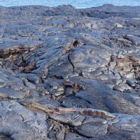 ハワイ島「キラウエア火山と溶岩ウォークツアー」