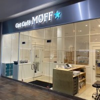 日本発、大人気の「キャットカフェ・モフ」がパールリッジセンターにオープン！