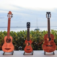 The Hawaiian ‘Ukulele Experience　（ウクレレ展示会）