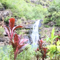 ワイメアの滝でマラマハワイを体験！