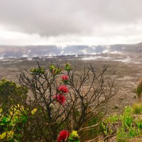 キラウエア火山の今