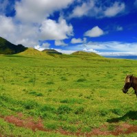 ハワイ島の大自然を感じる乗馬コース！